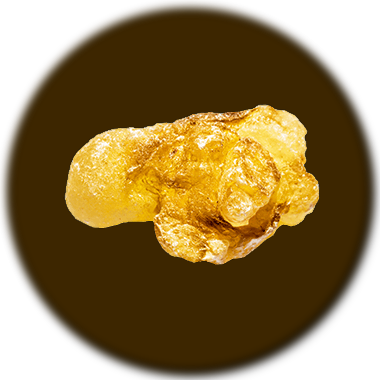 boswellia serrata